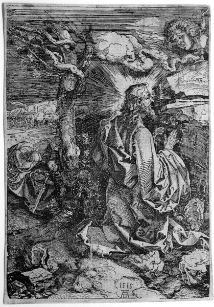 durer